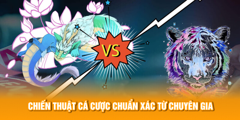 Chiến thuật c&aacute; cược chuẩn x&aacute;c từ chuy&ecirc;n gia