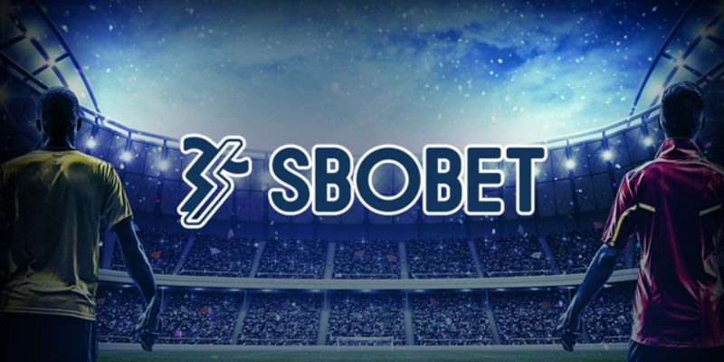 C&aacute; cược b&oacute;ng đ&aacute; nổi bật tại sbobet QQ88