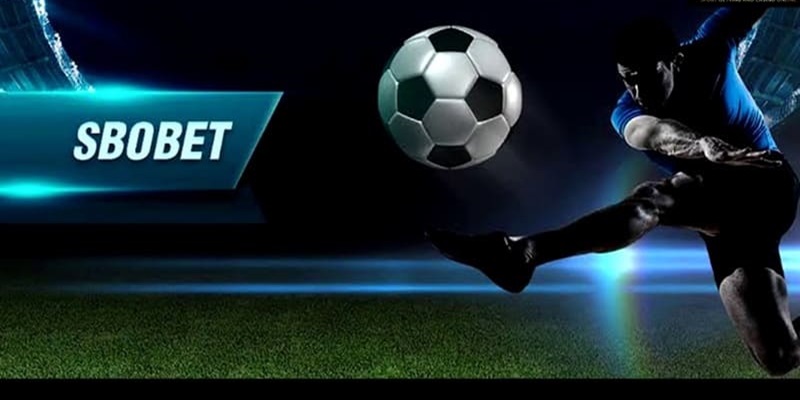 Những ưu điểm nổi bật tại s&acirc;n chơi Sbobet