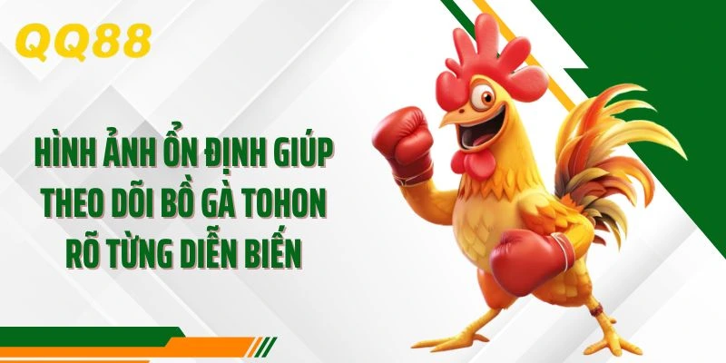 Hình ảnh ổn định giúp theo dõi bồ gà tohon rõ từng diễn biến