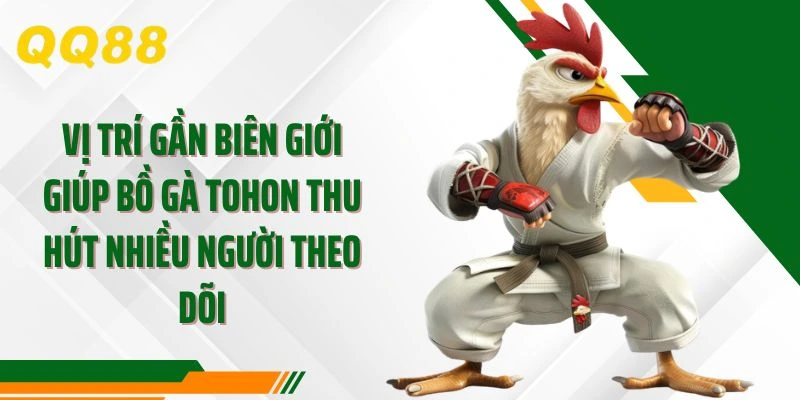 Vị trí gần biên giới giúp bồ gà tohon thu hút nhiều người theo dõi